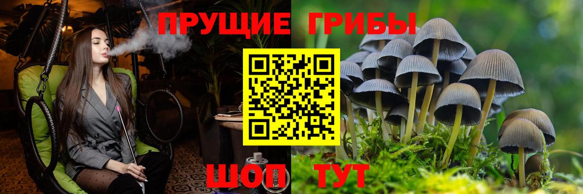 Псилоцибиновые грибы GOLDEN TEACHER Мытищи